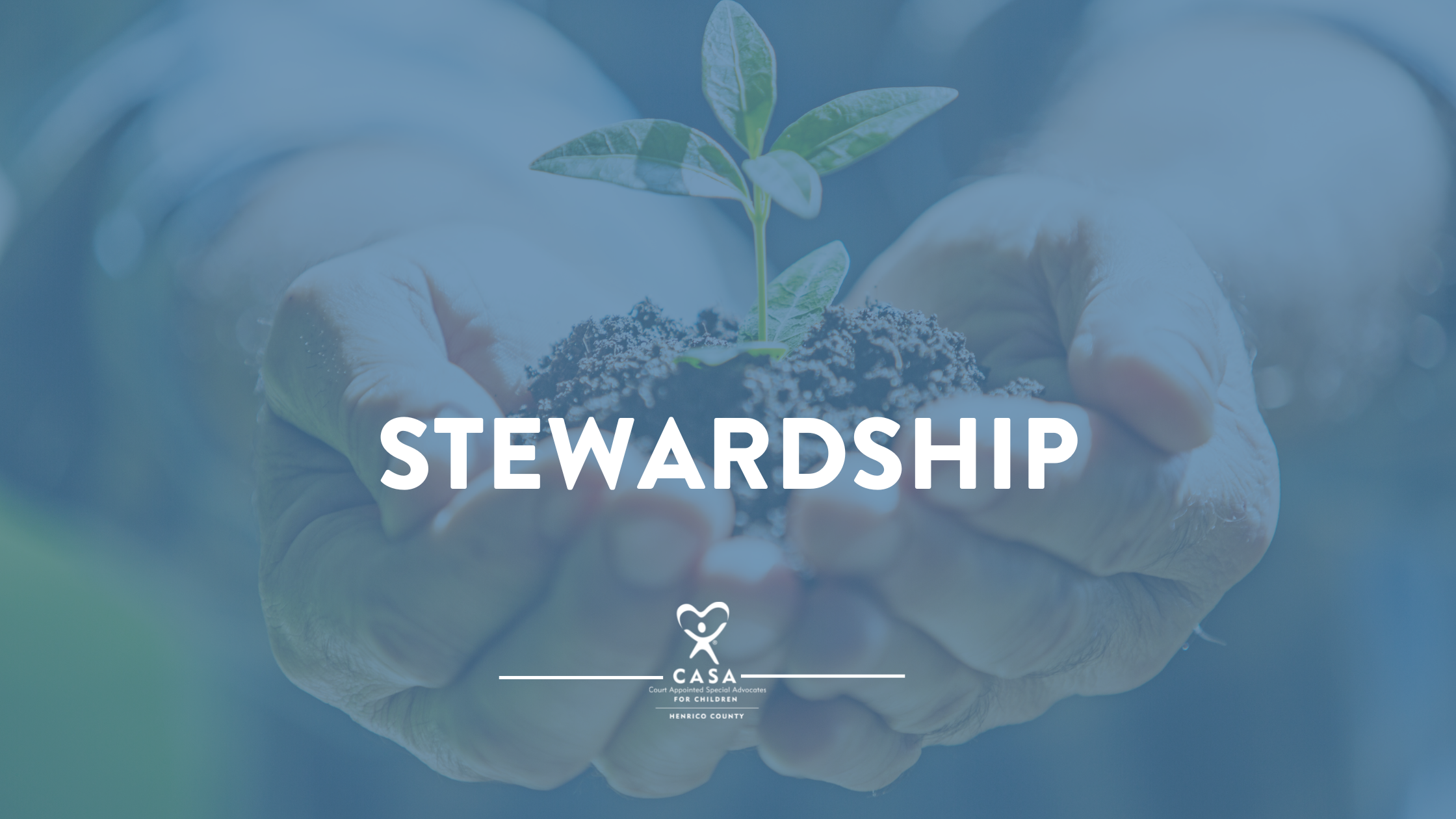 CASA Values: Stewardship