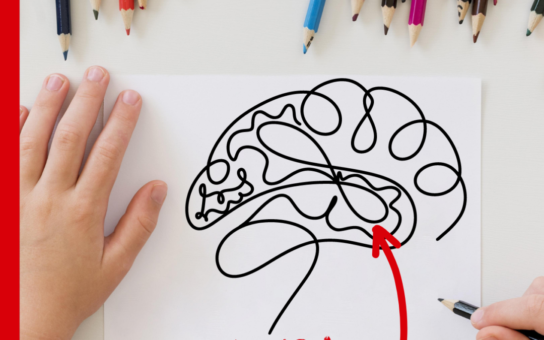 Trauma and the Brain: An Overactive Amygdala