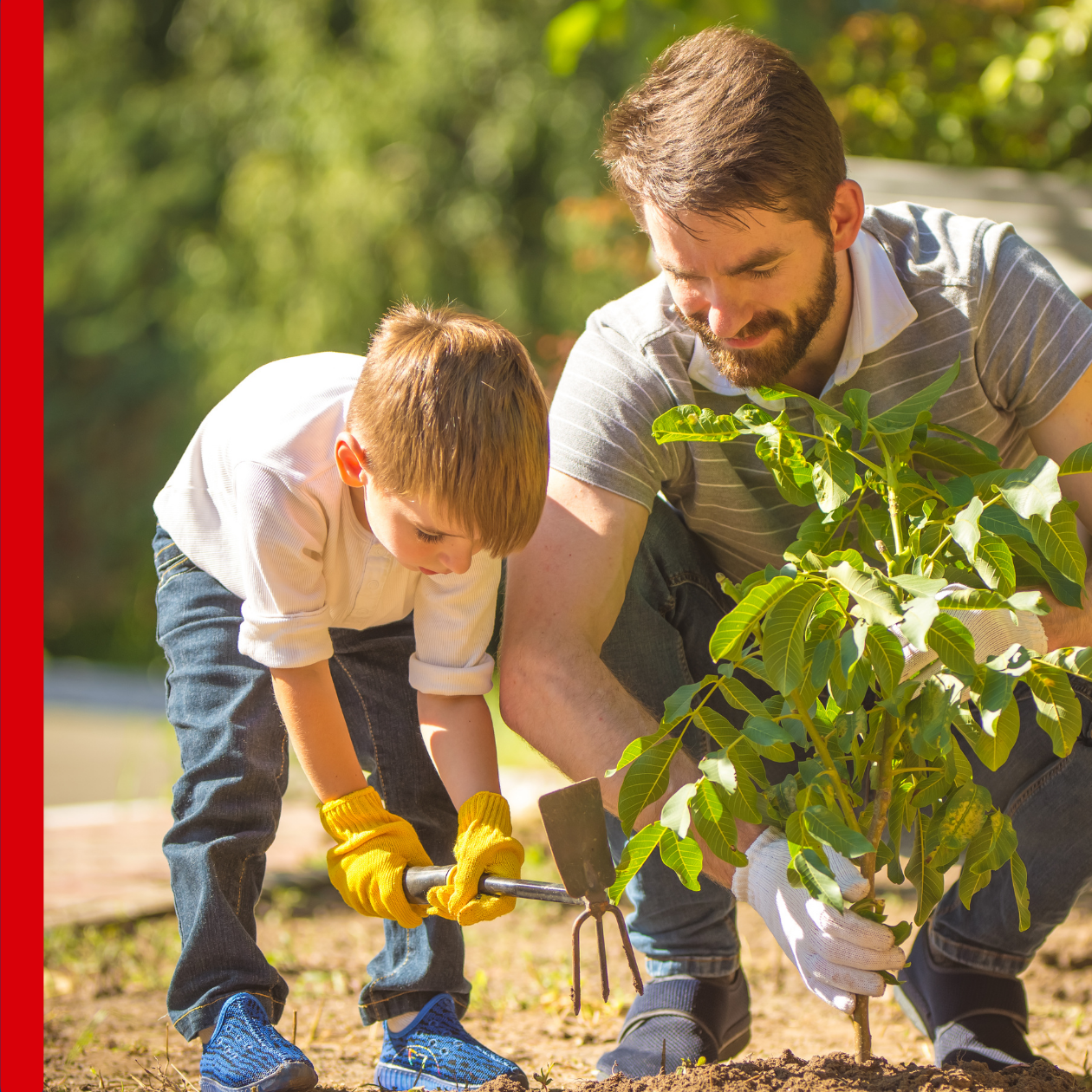 Dad and son planting