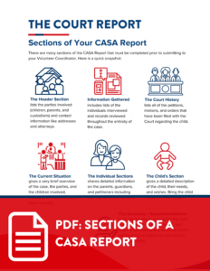 sections of a CASA report