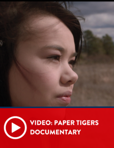 paper tigers documentary video
