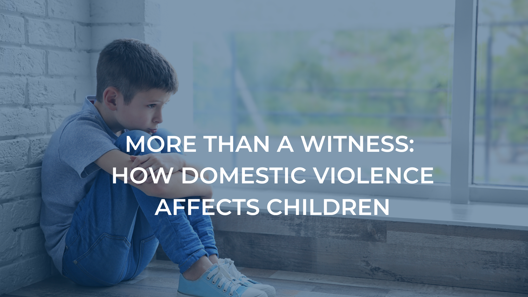 More Than A Witness, How Domestic Violence Affects Children